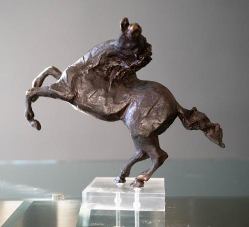 CECI cavallino imbizzarrito