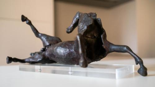 CECI cavallo caduto