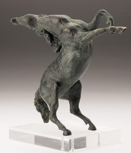Cavallo ferito