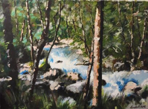 fiume nel bosco